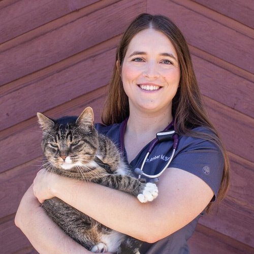 Dr. Amber Smith